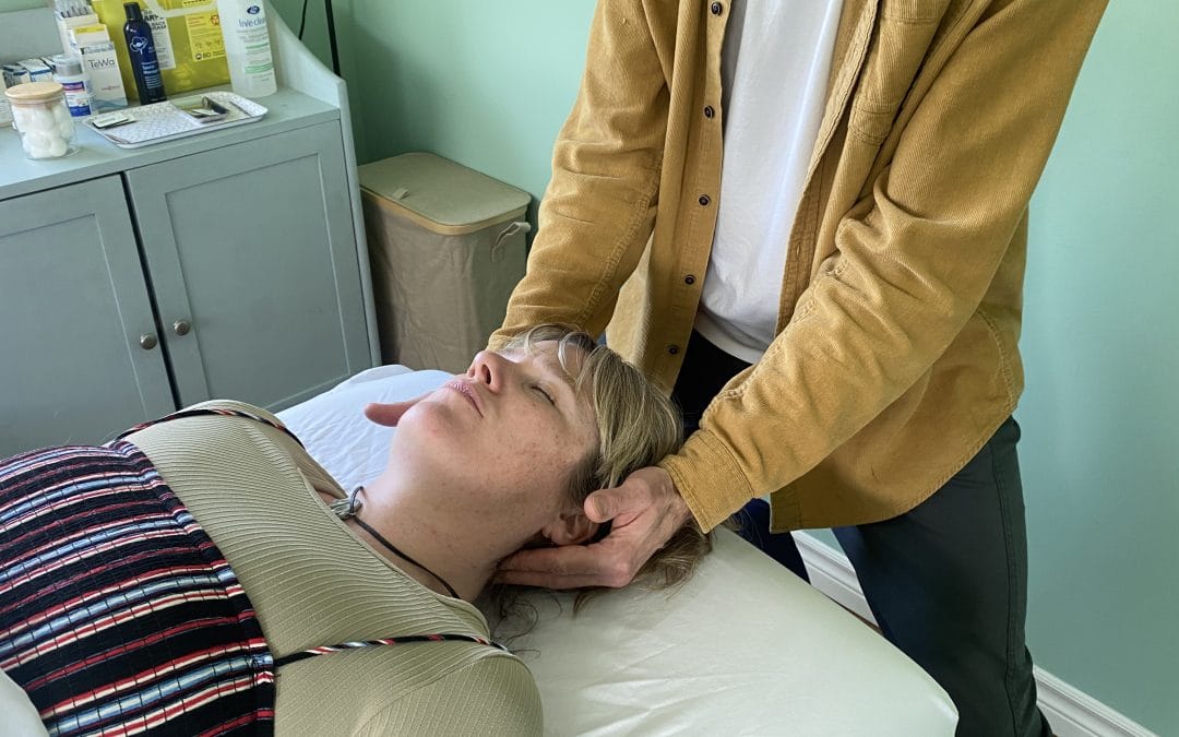 Acupuncture College Acupuncture School Acupuncture Clinic Diploma Career Training Health Wellness Professional Education Meditation Tai Chi Classes Health Clinic Halifax Lower Sackville Nova Scotia Canada Autumn Institute of Health